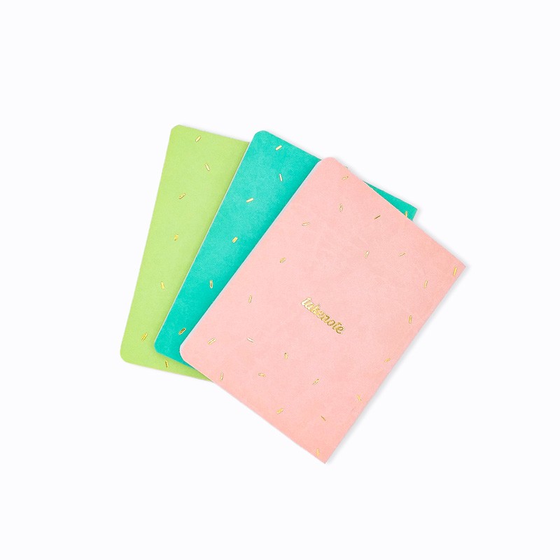 Pack de 3 libretas de bolsillo Bujo Pocket Candy Take Note, reverso