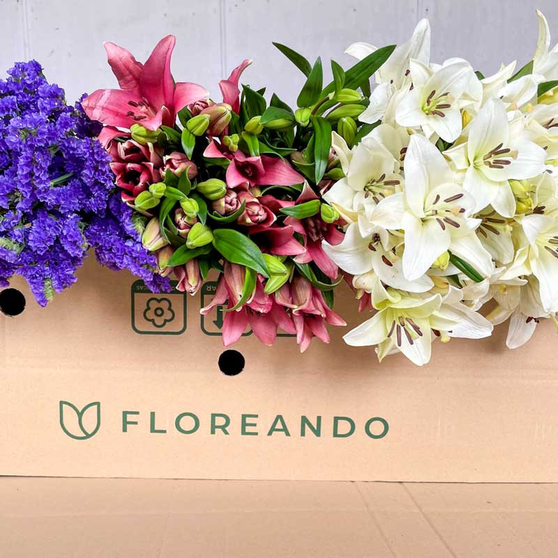 Floreando, Caja con ramos de flores. Oferta Primavera 2023
